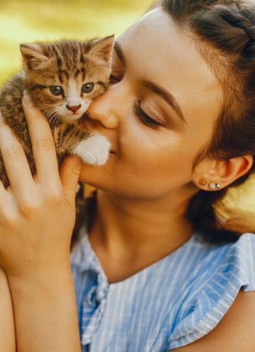 beautiful-girl-with-cats.jpg beautiful-girl-with-cats.jpg